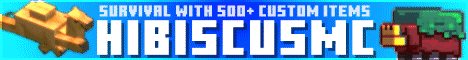 HibiscusMC's banner