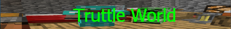 banner for Truttle World server
