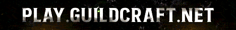 banner for GuildCraft Network server