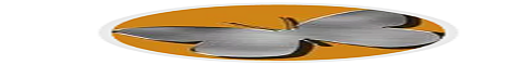 banner for Chaostheorygaming server