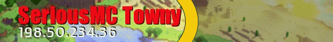 SeriousMC Towny's banner