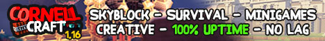 banner for Cornell Craft server