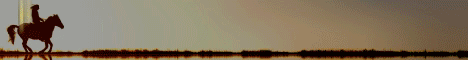 banner for Pinecraft Equestrian server