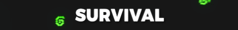 banner for SpawnChunk server