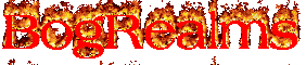 banner for BogRealms server