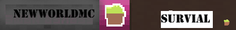 banner for NewworldMC server
