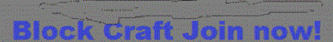 banner for Block Craft server