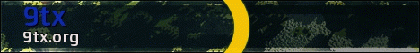 banner for 9tx server