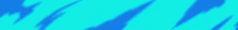 banner for Anarchus server