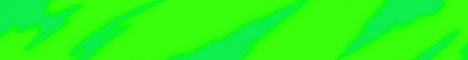 banner for MCMexico server