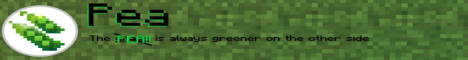 banner for PeaMC server