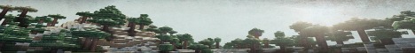 banner for Retonix server