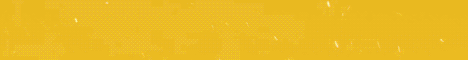 banner for MineVillage server
