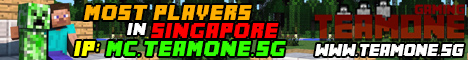 banner for TeamOne Server server