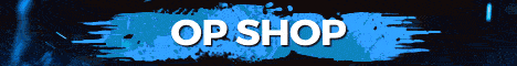 banner for skyblock.in server