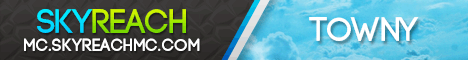 banner for Skyreach server