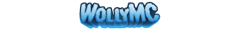 banner for wollymc server