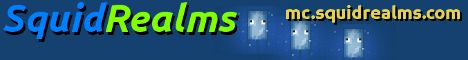 banner for SquidRealms server