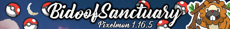 banner for Bidoof Sanctuary server