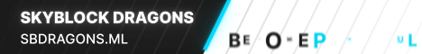 banner for SkyBlock Dragons server