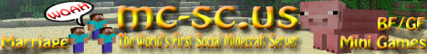 banner for SocialCraft server