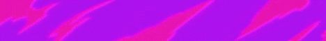 banner for Prime Network server