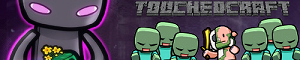 banner for touchedcraft server