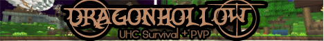 banner for Dragonhollow server