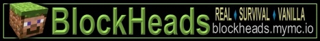 banner for BlockHeads server