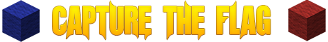 banner for Capture The Flag server