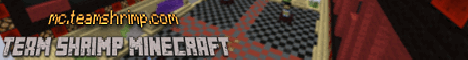 banner for Team Shrimp Minecraft server
