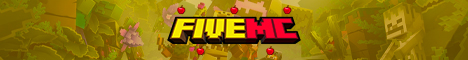 banner for FiveMC server