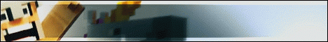 banner for ParadiseMC server