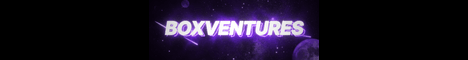 banner for BoxVentures server
