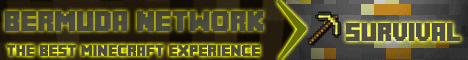 banner for BermudaNetwork server