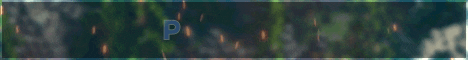 banner for PixelVerse server