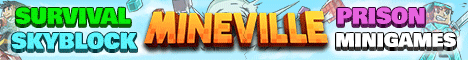 banner for MineVille server