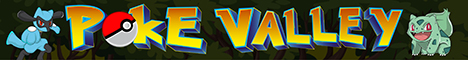 banner for PokeValley server