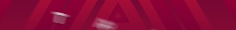 banner for TreasureMC server