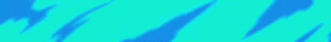 banner for SkallCraft Network server