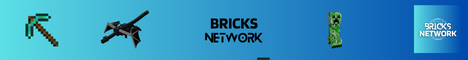 banner for Bricks Network server