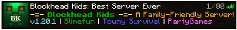 banner for Blockhead Kids server