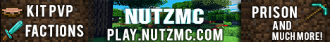 banner for NutzMc server