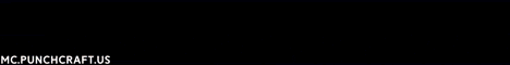 banner for Punchcraft Network server