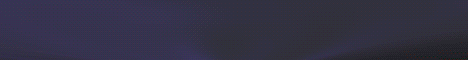 banner for PrimeMC server