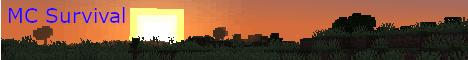 banner for mc network server