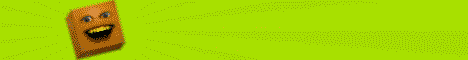 banner for OrangeCraft server
