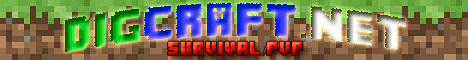banner for DigCraft server