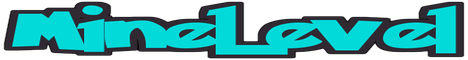 banner for MineLevel server