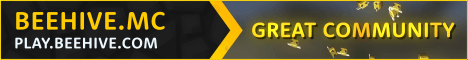 banner for Beehive.mc server